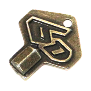 6D Helmklep Sleutel